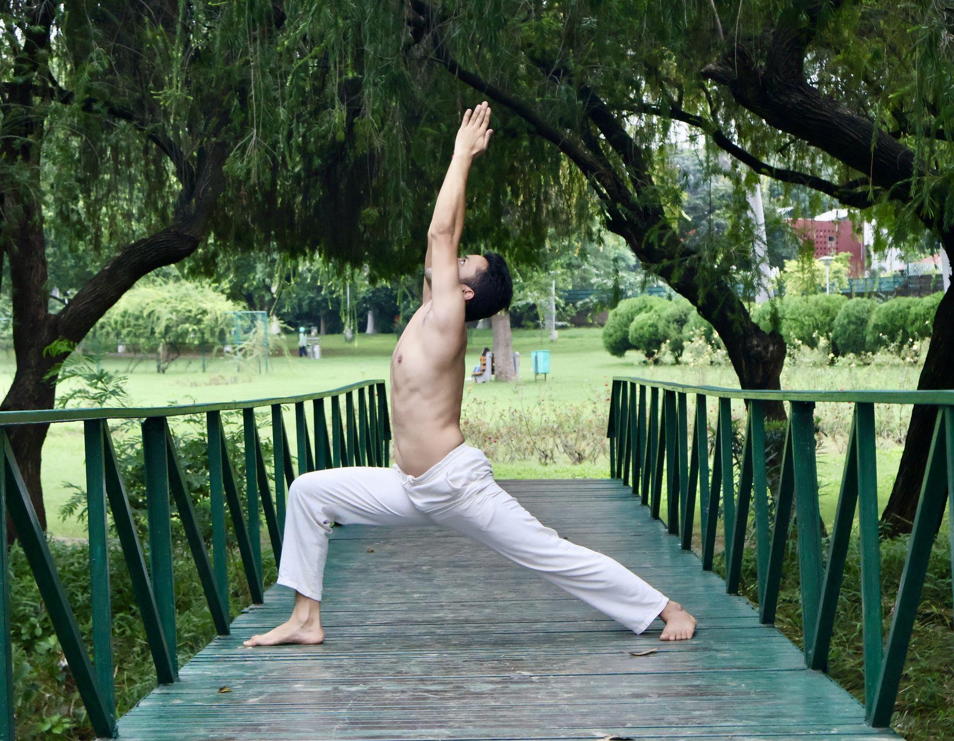 virabhadrasana 1